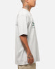 Champion Rochester Graphic T-Shirt Grey