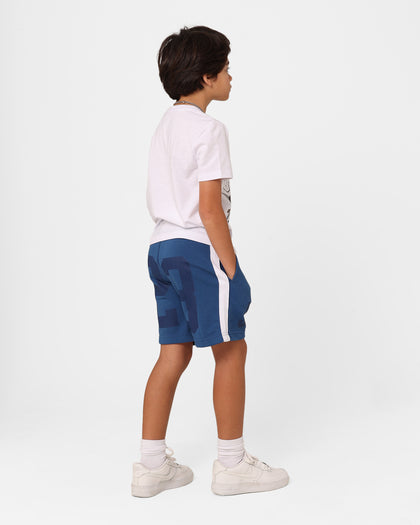 Jordan Kids' Gym 23 Blocked French Terry Shorts True Blue