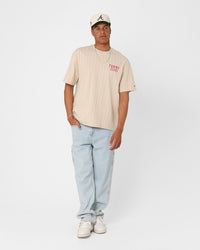 Tommy Jeans Skater Carpenter Jeans Denim Light