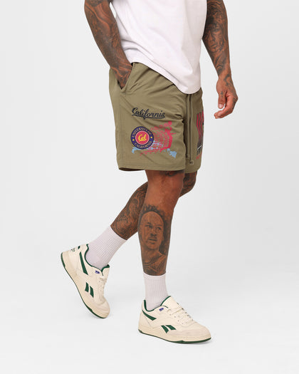 National Collegiate Athletic Association California Volleyball Team Shorts Army Green