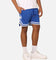 New Era Los Angeles Dodgers Pinstripe Shorts OTC