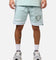New Era Las Vegas Raiders 'Logo Select Mint' Shorts Mint/White