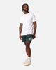 Adidas Graphic Sprinter Shorts Mineral Green