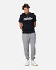 Jordan Brooklyn Fleece Pants Carbon Heather/White