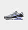 Nike Air Max 90 "Light Thistle" Photon Dust/Cool Grey/Light Thistle