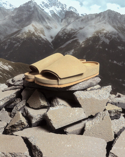 Seichi Mainichi Stone