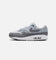 Nike Air Max 1 Photon Dust