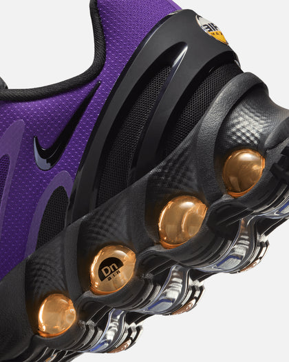 Nike Air Max DN8 Black/Fierce Purple-Indigo Burst