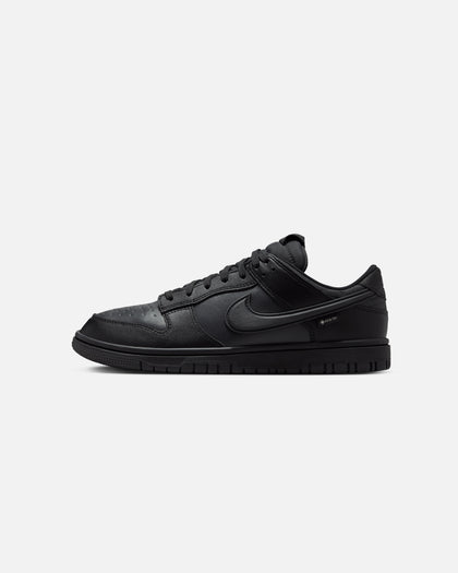 Nike Dunk Low GORE-TEX Black/White