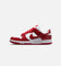 WMNS NIKE DUNK LOW SE