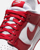 WMNS NIKE DUNK LOW SE