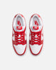 WMNS NIKE DUNK LOW SE