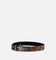Loiter Star Born Belt Leopard