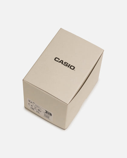 Casio A130WE-1A Watch Silver