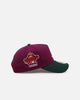 New Era Atlanta Braves 'Vineyard' 9FORTY A-Frame Snapback Purple
