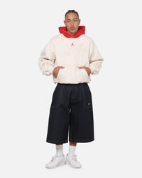 Jordan Brooklyn Fleece Pullover Hoodie Phantom