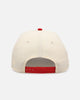 New Era Detroit Red Wings 'Team Color Visor' 9FORTY A-Frame Snapback Chrome/Official Team Color