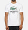 Lacoste Originals Croc Graphic T-Shirt White