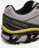 Salomon XT-6 Alloy Heather