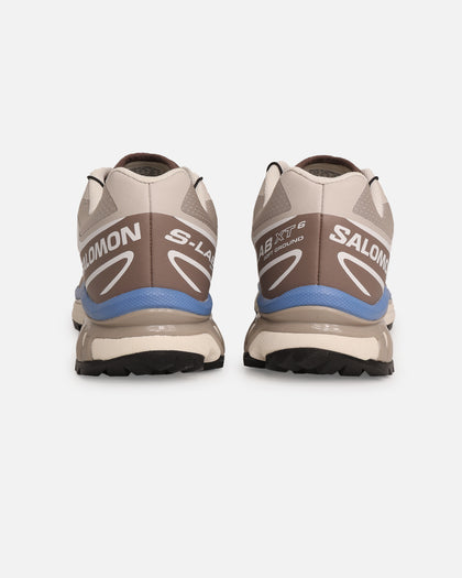 Salomon XT-6 Silver