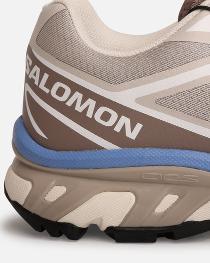 Salomon XT-6 Silver
