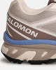 Salomon XT-6 Silver