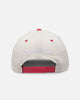 Mitchell & Ness San Antonio Spurs Go Team Go OG Snapback Vintage Cream