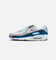 Nike Air Max 90 Pure Platinum/White