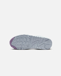 Nike Women's Air Max 90 Summit White/Wolf Grey