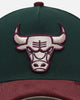 New Era Chicago Bulls 'Rhubarb Cord' 9FORTY A-Frame Snapback Dark Green