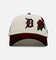 New Era Detroit Tigers 'Velvet Roses' 9FORTY A-Frame Snapback Chrome
