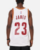 Mitchell & Ness Cleveland Cavaliers Lebron James 2015 Swing Jersey White