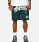 Mitchell & Ness Miami Dolphins Stars & Text Mesh Shorts Deep Sea Teal
