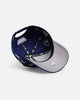 New Era Los Angeles Dodgers 'Looney Tunes' 9FORTY A-Frame Snapback Dark Blue