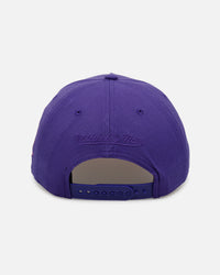 Mitchell & Ness Los Angeles Lakers 'Pink Side Patch' Pro Pinch Snapback Official Team Color