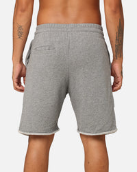 AS Colour Fleece Shorts Steel