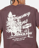 Tommy Jeans Relax Novelty T-Shirt Brown