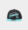 Mitchell & Ness Vancouver Grizzlies 'Team Script 2.0 Hardwood Classics' Fitted Black