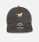 47 Brand Golden Retriever 'Dog Collection' 47 Clean Up Strapback Charcoal
