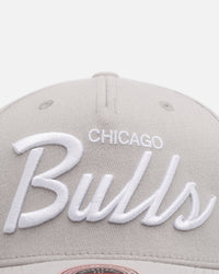 Mitchell & Ness Chicago Bulls 'Gray Tones' MVP Snapback Gray