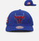 Mitchell & Ness Chicago Bulls 'Puerto Rico Flag' Pro Crown Snapback Blue