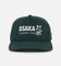 Birds Of Condor Country Club Snapback Alpine Green