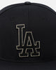 Pro Standard Los Angeles Dodgers Black & Gold Snapback Black