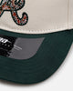 Pro Standard Atlanta Braves 'Tapestry 2.0' Pinch Front Strapback Dark Green