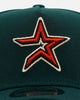 New Era Houston Astros 'Evergreen' 9FORTY A-Frame Snapback Dark Green