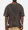Champion Mineral Wash T-Shirt Sumac