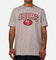 New Era San Francisco 49ers T-Shirt Grey