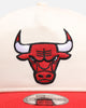 New Era Chicago Bulls 'Stripe' 19TWENTY Snapback Chrome/Official Team Color