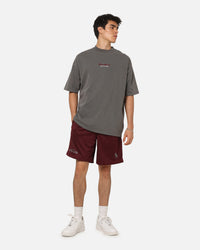 Saint Morta Athltc S4 Mesh Shorts Port