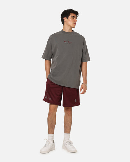 Saint Morta Athltc S4 Mesh Shorts Port
